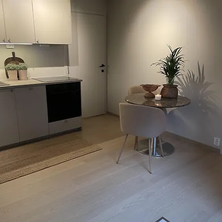 Lejlighed Koselig Med Gratis Lading Av Elbil *