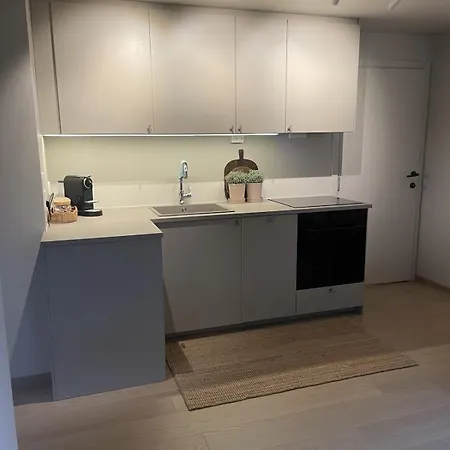 Koselig Med Gratis Lading Av Elbil Trondheim