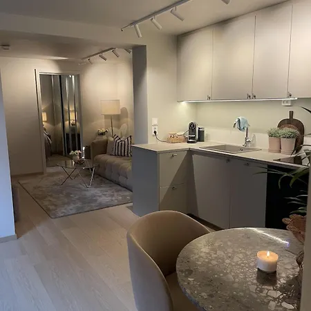 Koselig Med Gratis Lading Av Elbil Lejlighed